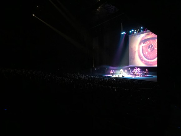 Animo Animal - Barcelona 02-02-2019