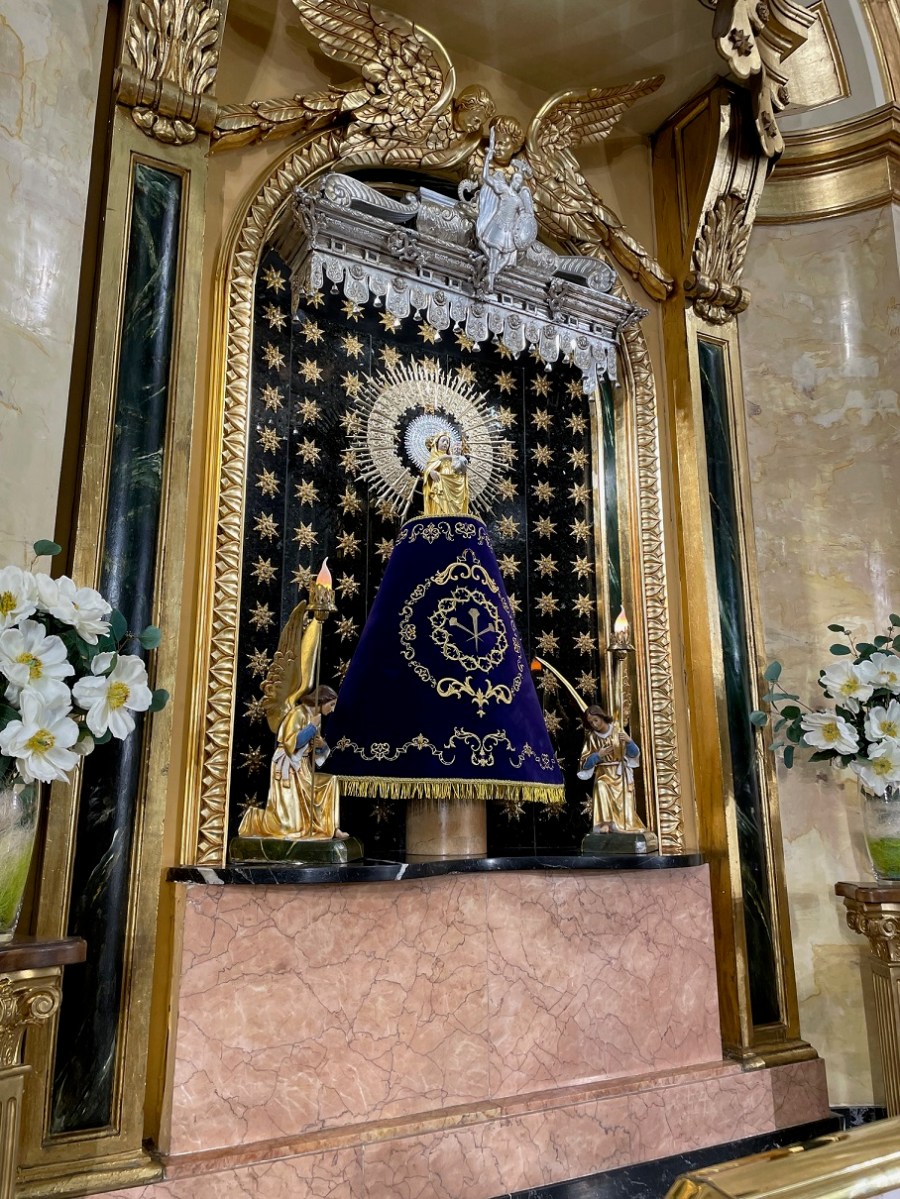 Cofradía Jesús Nazareno - Manto Virgen del Pilar